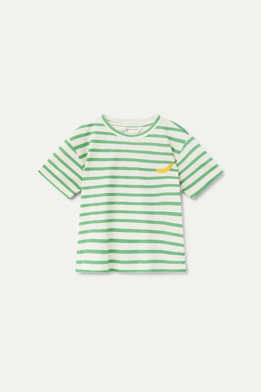 Camiseta unisex estampado rayas verdes - 42467