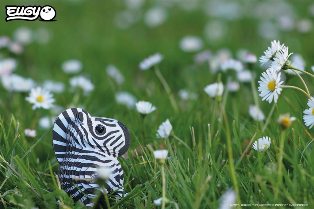 3D Wild Dier - Zebra