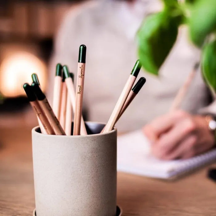 Bloeipotloden - Tijm