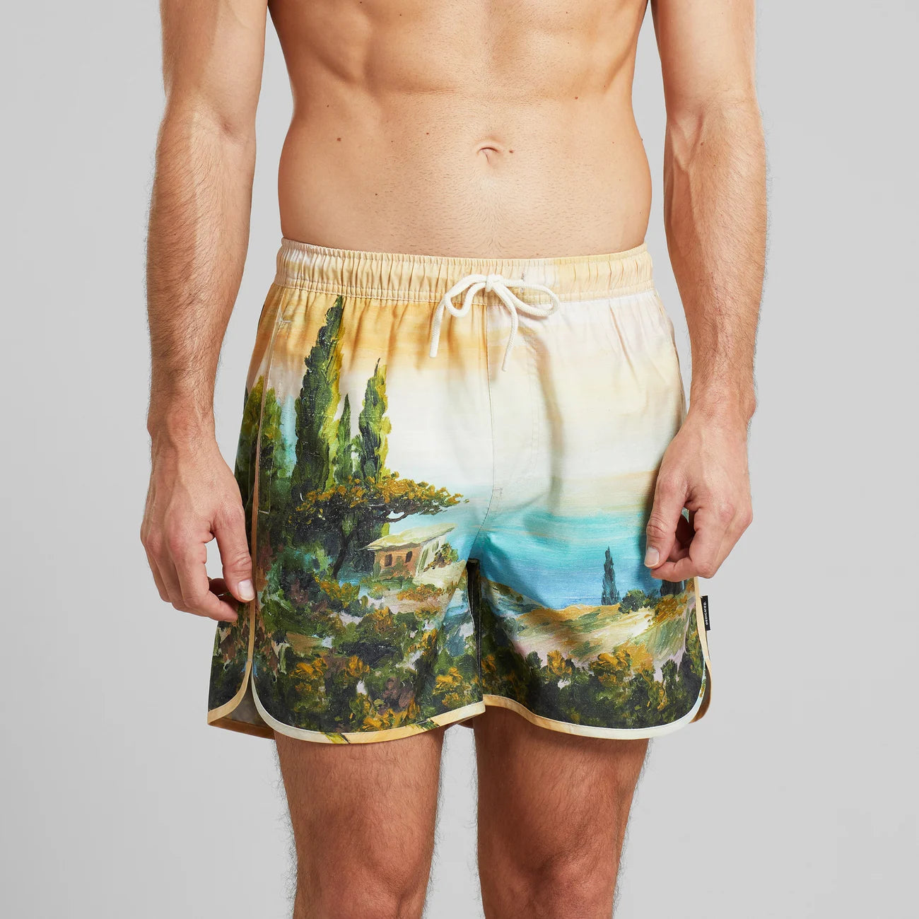 Swim Shorts Sandhamn Oceanview Multi color