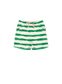 *Apollo Stripe-Green